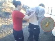 Sivilceden ibaret sandı