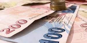 Merkez Bankası Başkanı Yeni Banknotları Duyurdu.