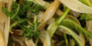 Uzmanların Gözdesi, Aktarların Sırrı: Bir Demetinde Bin Şifa Var! İşte bağışıklıktan sindirime kadar her organa iyi gelen o bitkisel çözüm.