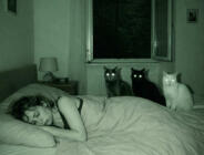 Her gece kedinin bakışıyla uyanıyorduk…