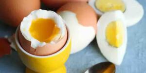 Canan Karatay’dan yumurta hakkında çarpıcı açıklama.