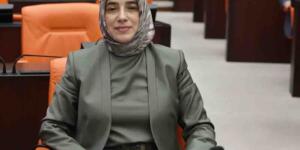AK Parti’li Özlem Zengin’in