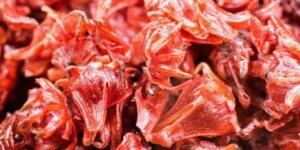 Böbrekler yeniden doğmuş gibi oldu